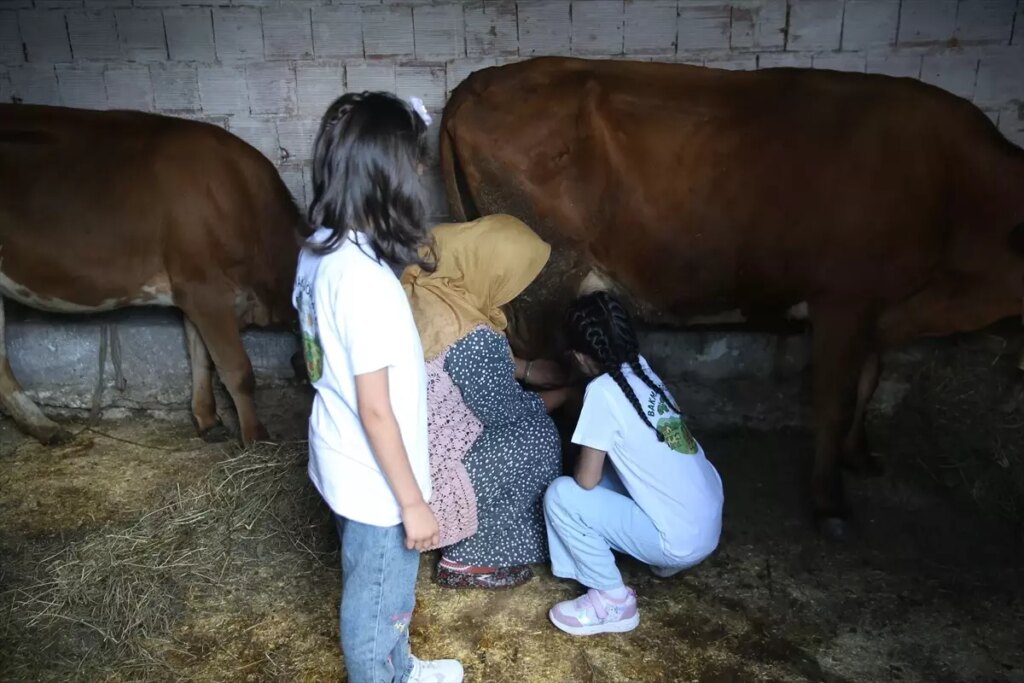 cocuklar doga ile bulustu IexBxqhv