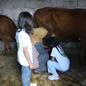 cocuklar doga ile bulustu IexBxqhv