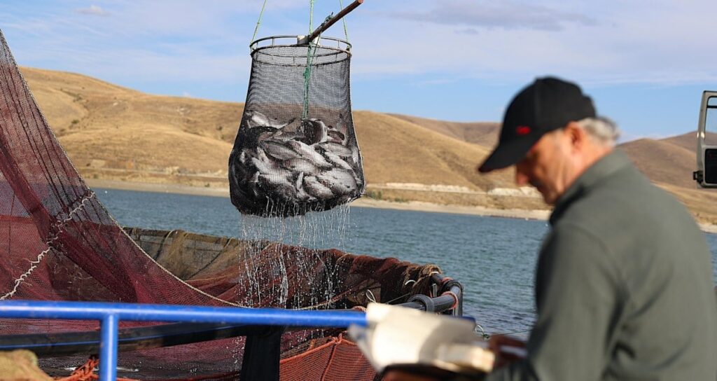 bayburtta hasadi basladi tonlarca urun rusya yolunda btGHVTIj