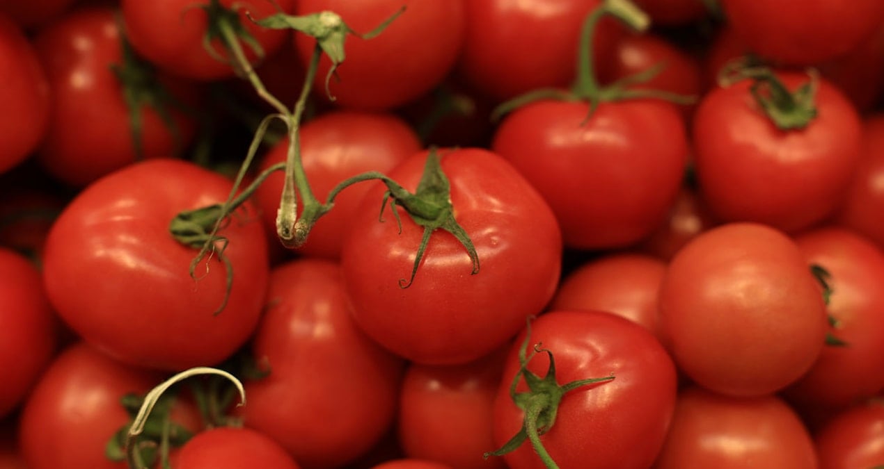 domates yiyenler icin acil uyari 16 ulkede yuzlerce kisi etkilendi pPJYxOWW