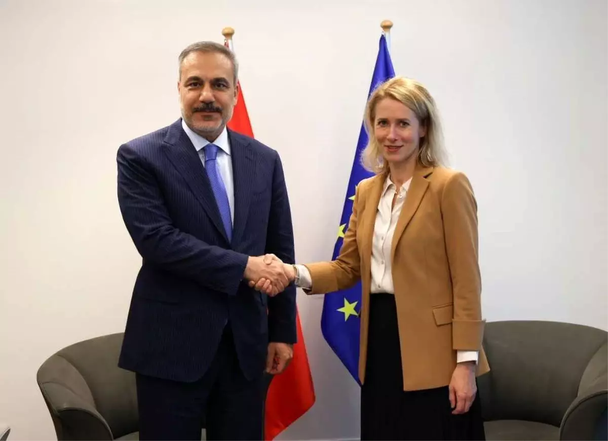 hakan fidan luksemburgda WMBqbz54.jpg