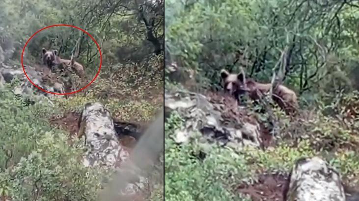 kepce operatoru goruntuledi kaymakamlik uyari yapti bilmediginiz yerde bulunmayin bII1jPTO.jpg