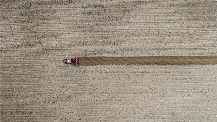 tarim ufe eylulde artti SyOcYaI4.jpg