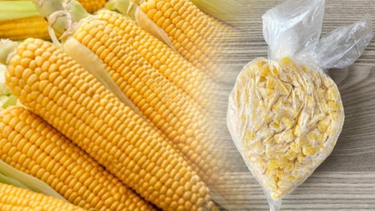 misiri catalla siyir hasla dondurucuya at 12 ay tazecik kaliyor qBX3EvIy.jpg