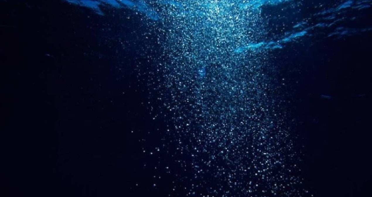 Bilim Dünyasında Şaşkınlık Yaratan Yeni Yaratıklar Keşfedildi