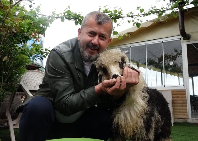 ‘Abbas’ Adlı Kuzusu, Ercan Yıldırım’ın En Yakın Dostu Oldu