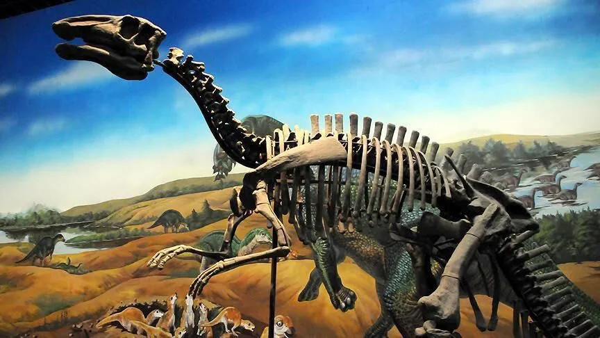 Boyu 20 metreye kadar çıkabiliyor… Tayland’da yeni dinozor türü keşfedildi